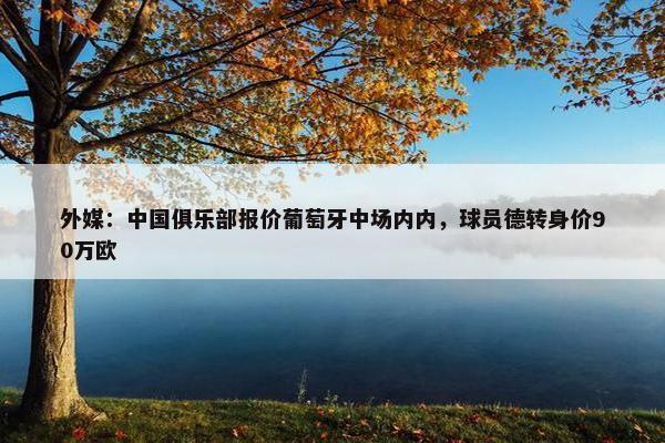 外媒：中国俱乐部报价葡萄牙中场内内，球员德转身价90万欧