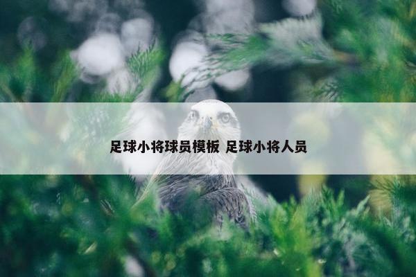 足球小将球员模板 足球小将人员