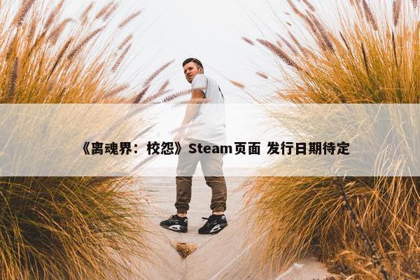 《离魂界：校怨》Steam页面 发行日期待定