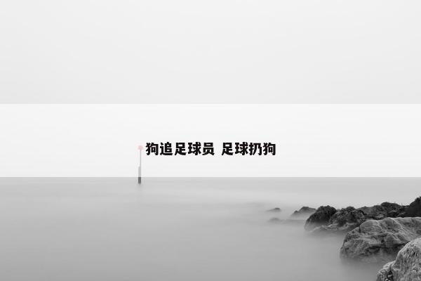 狗追足球员 足球扔狗