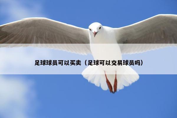 足球球员可以买卖（足球可以交易球员吗）