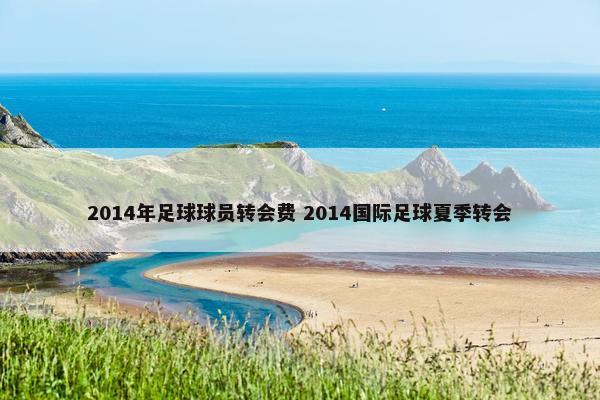 2014年足球球员转会费 2014国际足球夏季转会