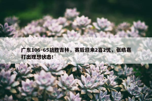 广东106-65战胜吉林，赛后迎来2喜2忧，张皓嘉打出理想状态！