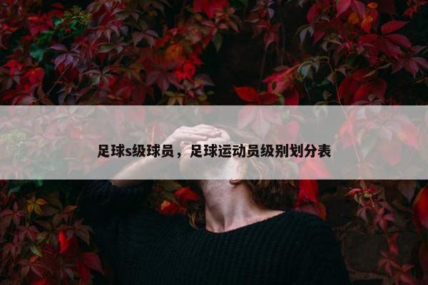 足球s级球员，足球运动员级别划分表