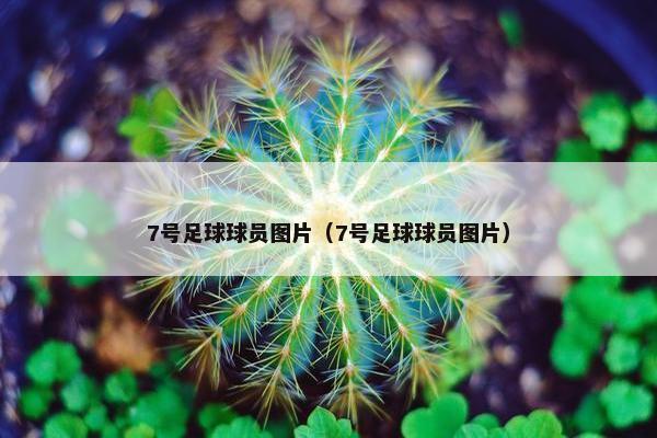 7号足球球员图片（7号足球球员图片）