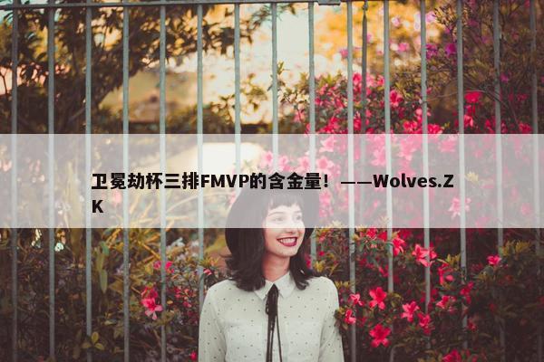 卫冕劫杯三排FMVP的含金量！——Wolves.ZK