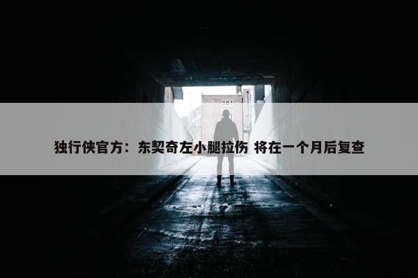 独行侠官方：东契奇左小腿拉伤 将在一个月后复查