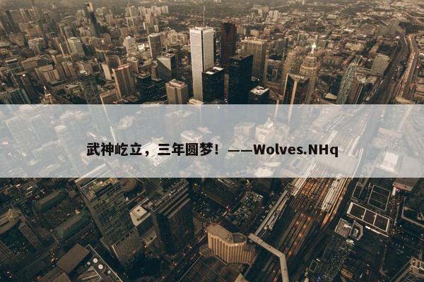 武神屹立，三年圆梦！——Wolves.NHq