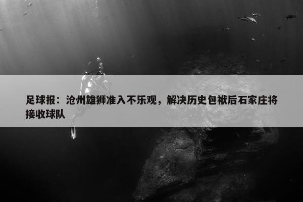 足球报：沧州雄狮准入不乐观，解决历史包袱后石家庄将接收球队