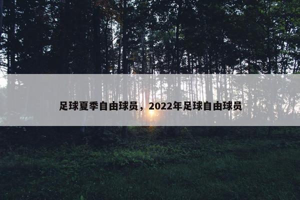 足球夏季自由球员，2022年足球自由球员