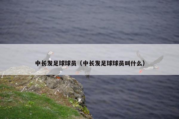 中长发足球球员（中长发足球球员叫什么）