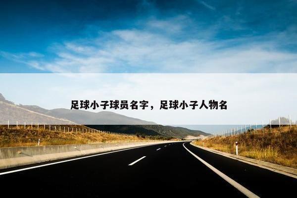 足球小子球员名字，足球小子人物名