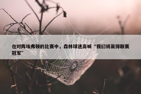 在对阵埃弗顿的比赛中，森林球迷高喊“我们将赢得联赛冠军”