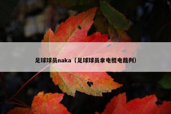 足球球员naka（足球球员拿电棍电裁判）