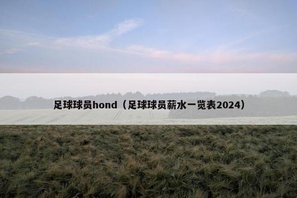 足球球员hond（足球球员薪水一览表2024）