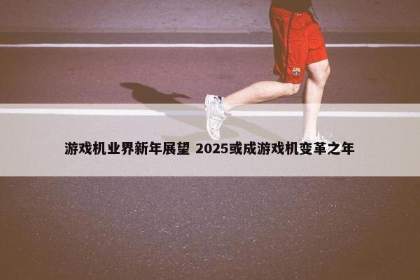 游戏机业界新年展望 2025或成游戏机变革之年