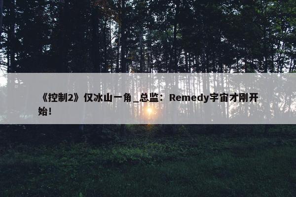 《控制2》仅冰山一角_总监：Remedy宇宙才刚开始！