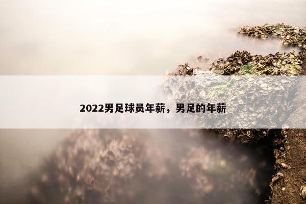 2022男足球员年薪，男足的年薪