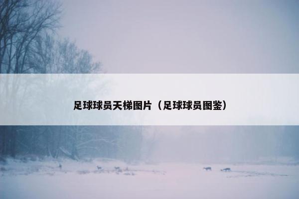 足球球员天梯图片（足球球员图鉴）