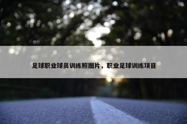 足球职业球员训练照图片，职业足球训练项目