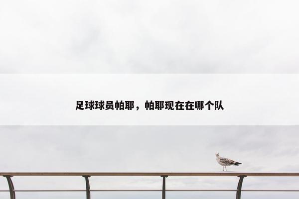 足球球员帕耶，帕耶现在在哪个队