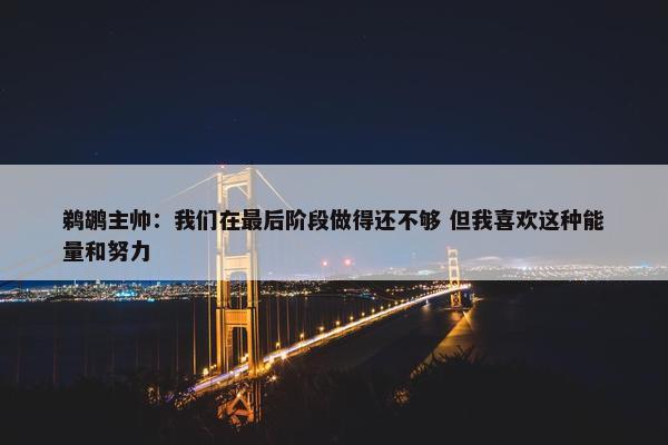 鹈鹕主帅：我们在最后阶段做得还不够 但我喜欢这种能量和努力