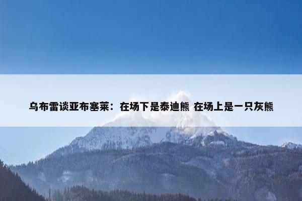 乌布雷谈亚布塞莱：在场下是泰迪熊 在场上是一只灰熊