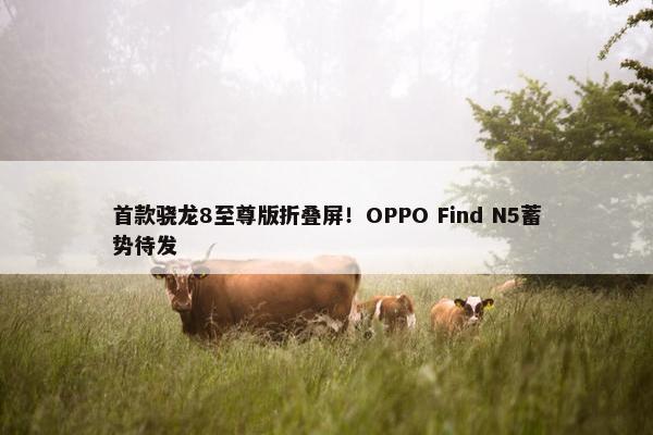 首款骁龙8至尊版折叠屏！OPPO Find N5蓄势待发