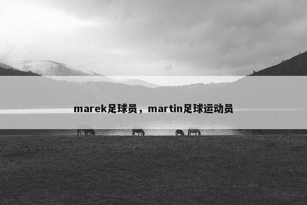 marek足球员，martin足球运动员