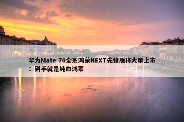 华为Mate 70全系鸿蒙NEXT先锋版将大量上市：到手就是纯血鸿蒙