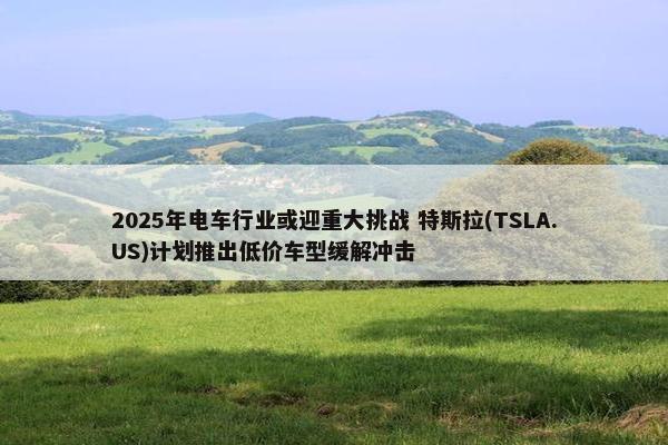 2025年电车行业或迎重大挑战 特斯拉(TSLA.US)计划推出低价车型缓解冲击