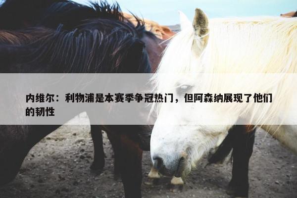 内维尔：利物浦是本赛季争冠热门，但阿森纳展现了他们的韧性