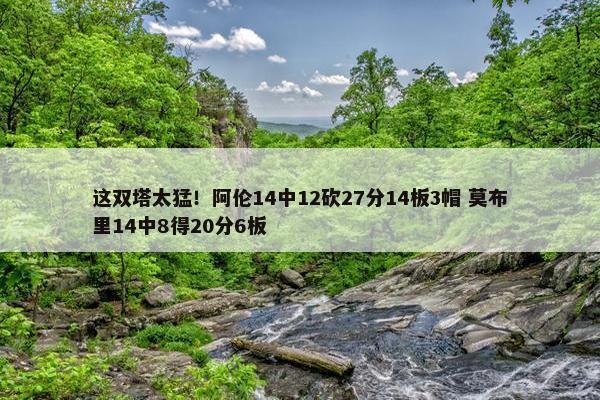 这双塔太猛！阿伦14中12砍27分14板3帽 莫布里14中8得20分6板