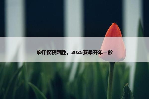 单打仅获两胜，2025赛季开年一般