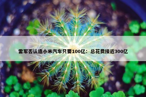 雷军否认造小米汽车只要100亿：总花费接近300亿