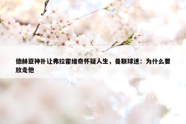 德赫亚神扑让弗拉霍维奇怀疑人生，曼联球迷：为什么要放走他