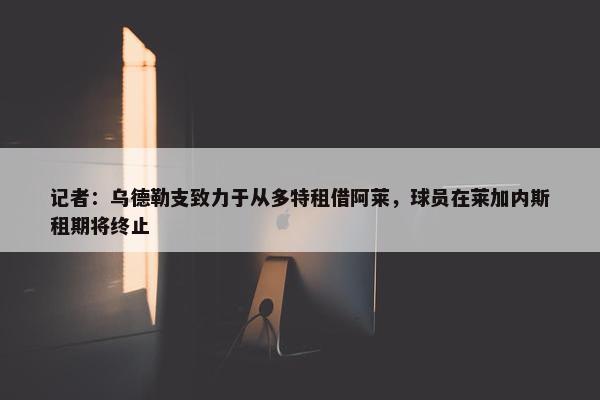 记者：乌德勒支致力于从多特租借阿莱，球员在莱加内斯租期将终止