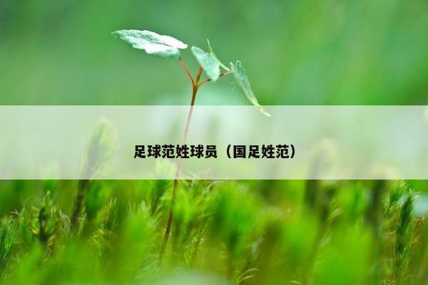 足球范姓球员（国足姓范）