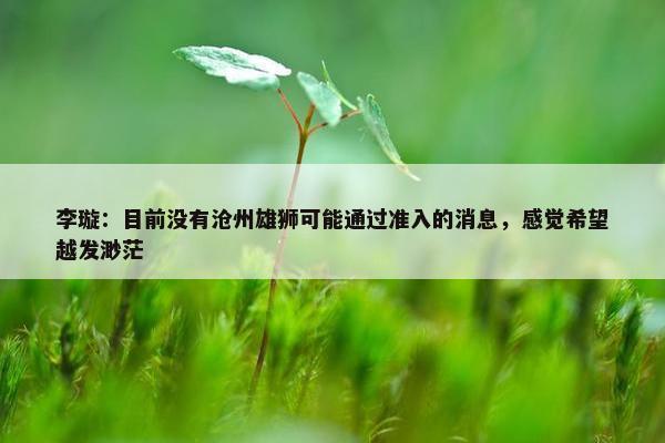 李璇：目前没有沧州雄狮可能通过准入的消息，感觉希望越发渺茫