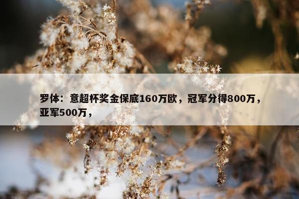 罗体：意超杯奖金保底160万欧，冠军分得800万，亚军500万，