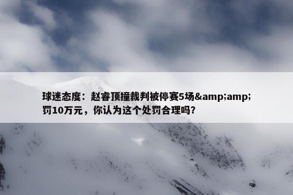 球迷态度：赵睿顶撞裁判被停赛5场&amp;罚10万元，你认为这个处罚合理吗？