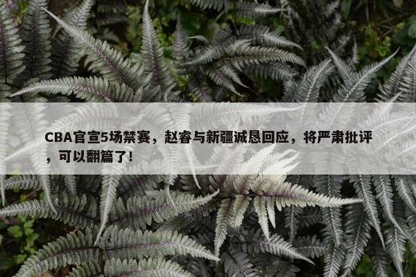 CBA官宣5场禁赛，赵睿与新疆诚恳回应，将严肃批评，可以翻篇了！