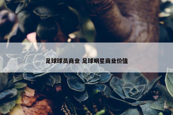 足球球员商业 足球明星商业价值