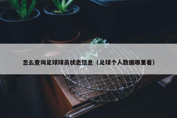 怎么查询足球球员状态信息（足球个人数据哪里看）