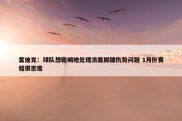 雷迪克：球队想聪明地处理浓眉脚踝伤势问题 1月份赛程很密度