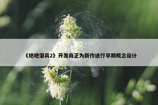 《绝地潜兵2》开发商正为新作进行早期概念设计