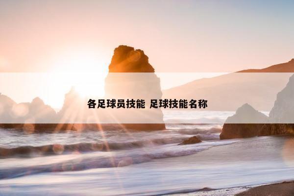 各足球员技能 足球技能名称