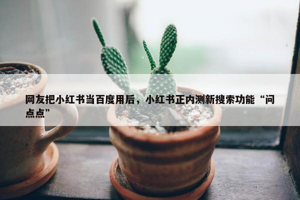 网友把小红书当百度用后，小红书正内测新搜索功能“问点点”