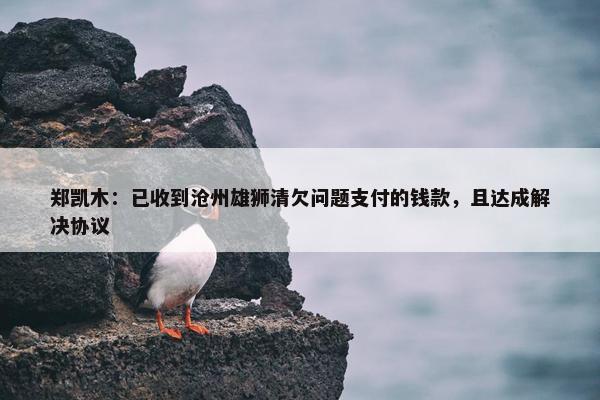 郑凯木：已收到沧州雄狮清欠问题支付的钱款，且达成解决协议