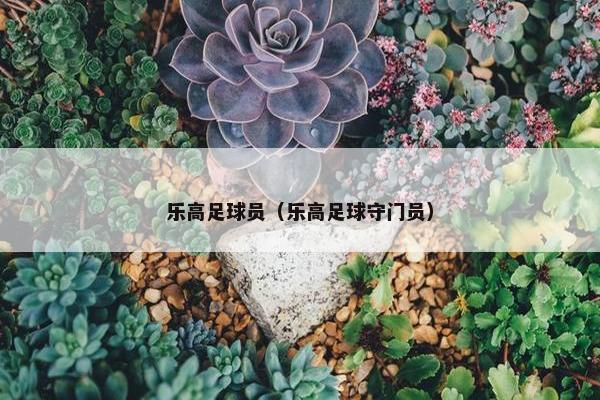 乐高足球员（乐高足球守门员）